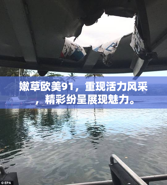 嫩草欧美91，重现活力风采，精彩纷呈展现魅力。