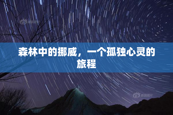 森林中的挪威，一个孤独心灵的旅程