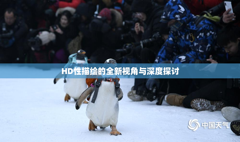 HD性描绘的全新视角与深度探讨