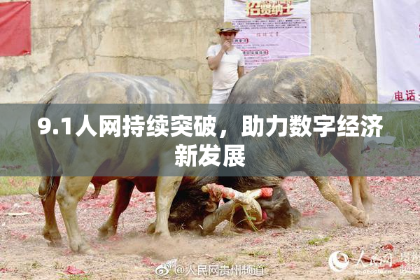 9.1人网持续突破，助力数字经济新发展