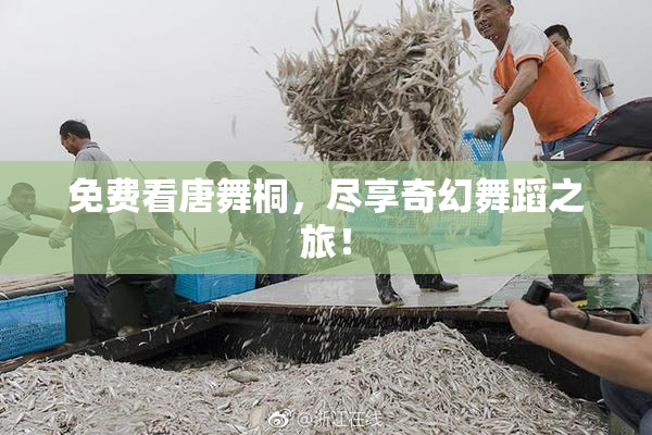 免费看唐舞桐，尽享奇幻舞蹈之旅！