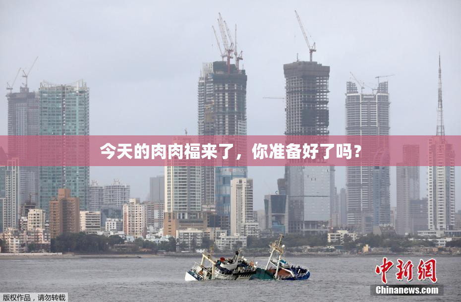 今天的肉肉福来了，你准备好了吗？