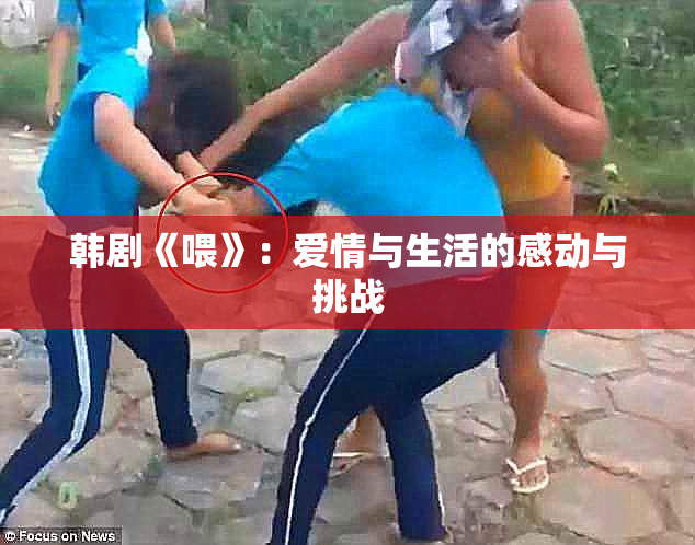 韩剧《喂》：爱情与生活的感动与挑战