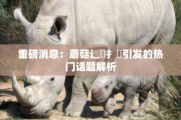 重磅消息：蘑菇辶喿扌畐引发的热门话题解析