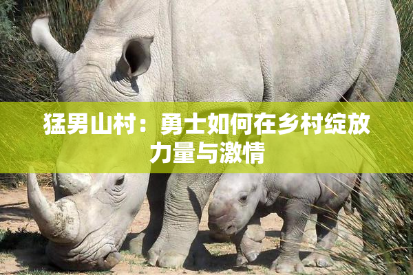 猛男山村：勇士如何在乡村绽放力量与激情