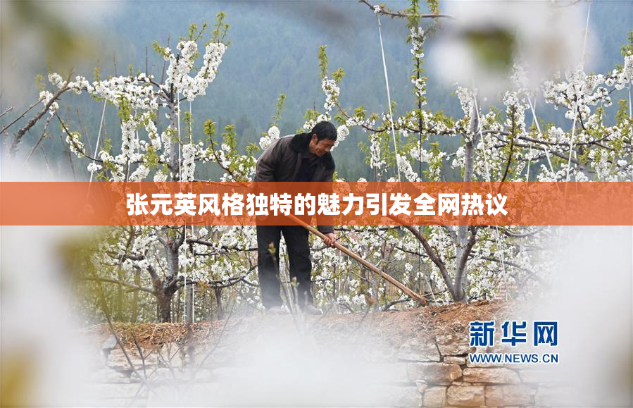 张元英风格独特的魅力引发全网热议