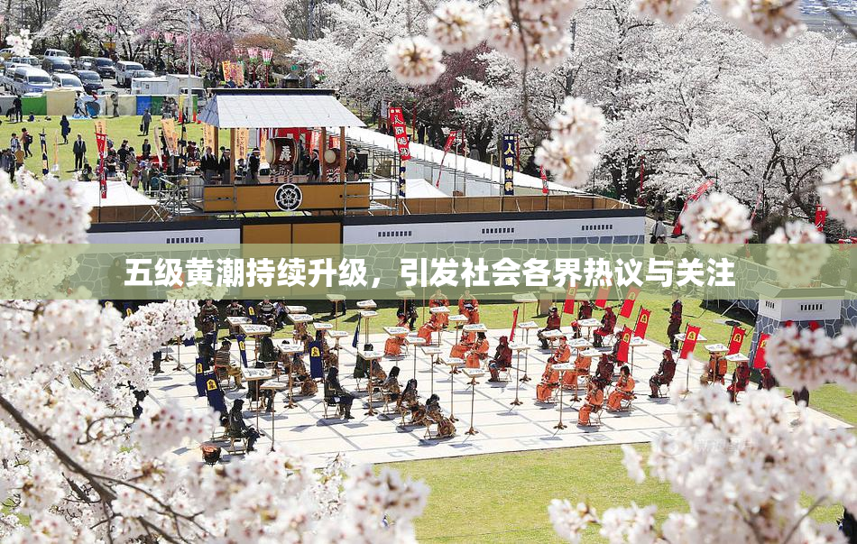 五级黄潮持续升级，引发社会各界热议与关注