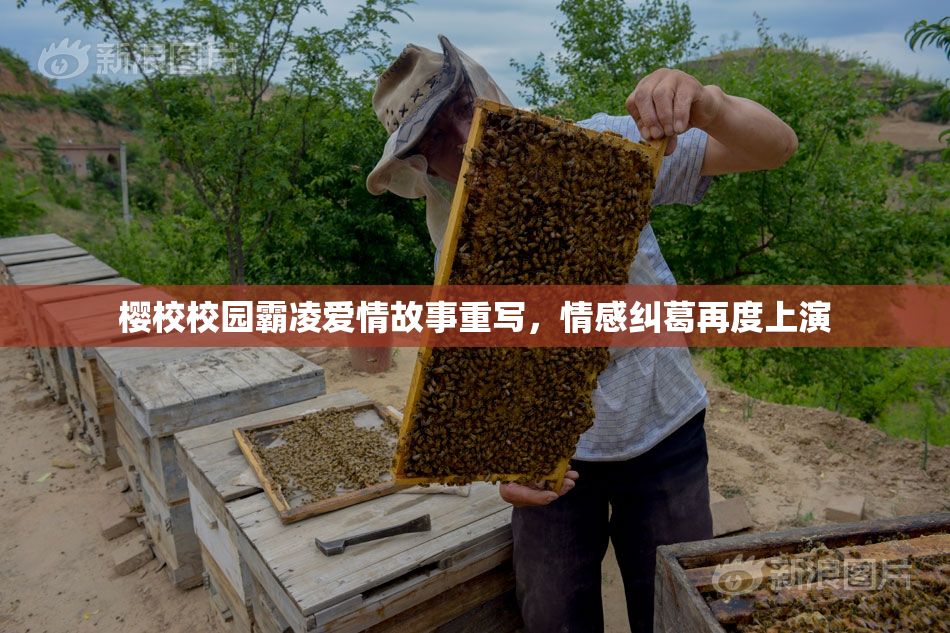 樱校校园霸凌爱情故事重写，情感纠葛再度上演
