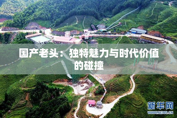 国产老头：独特魅力与时代价值的碰撞