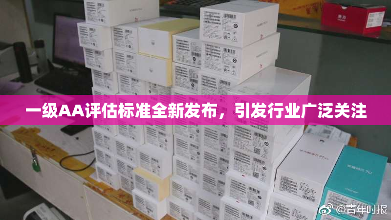 一级AA评估标准全新发布，引发行业广泛关注