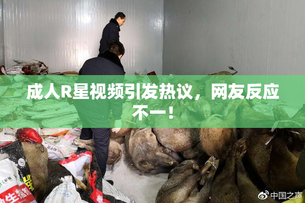 成人R星视频引发热议，网友反应不一！