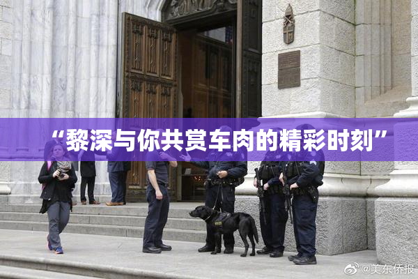 “黎深与你共赏车肉的精彩时刻”