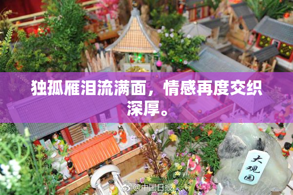 独孤雁泪流满面，情感再度交织深厚。