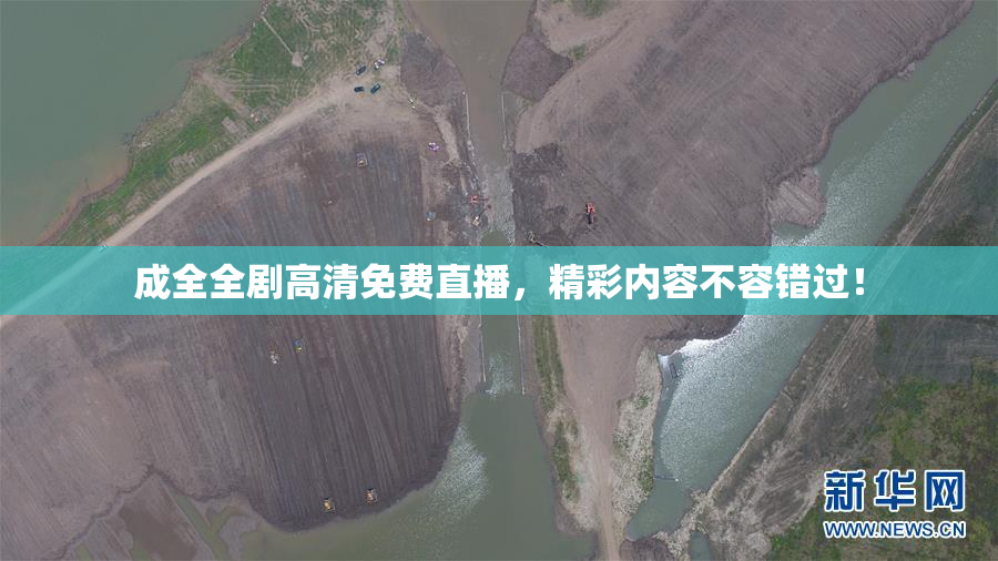 成全全剧高清免费直播，精彩内容不容错过！