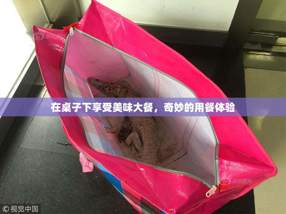 在桌子下享受美味大餐，奇妙的用餐体验