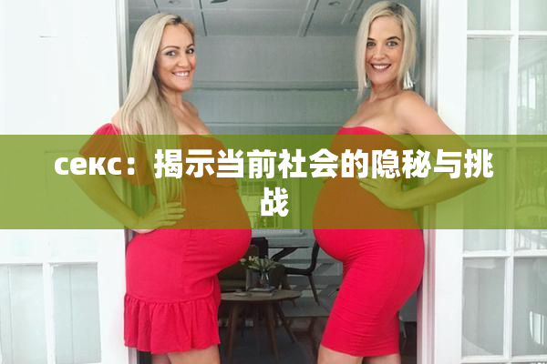 ceкс：揭示当前社会的隐秘与挑战