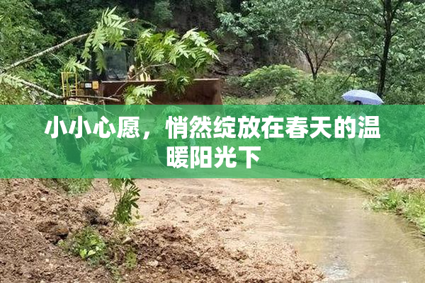 小小心愿，悄然绽放在春天的温暖阳光下