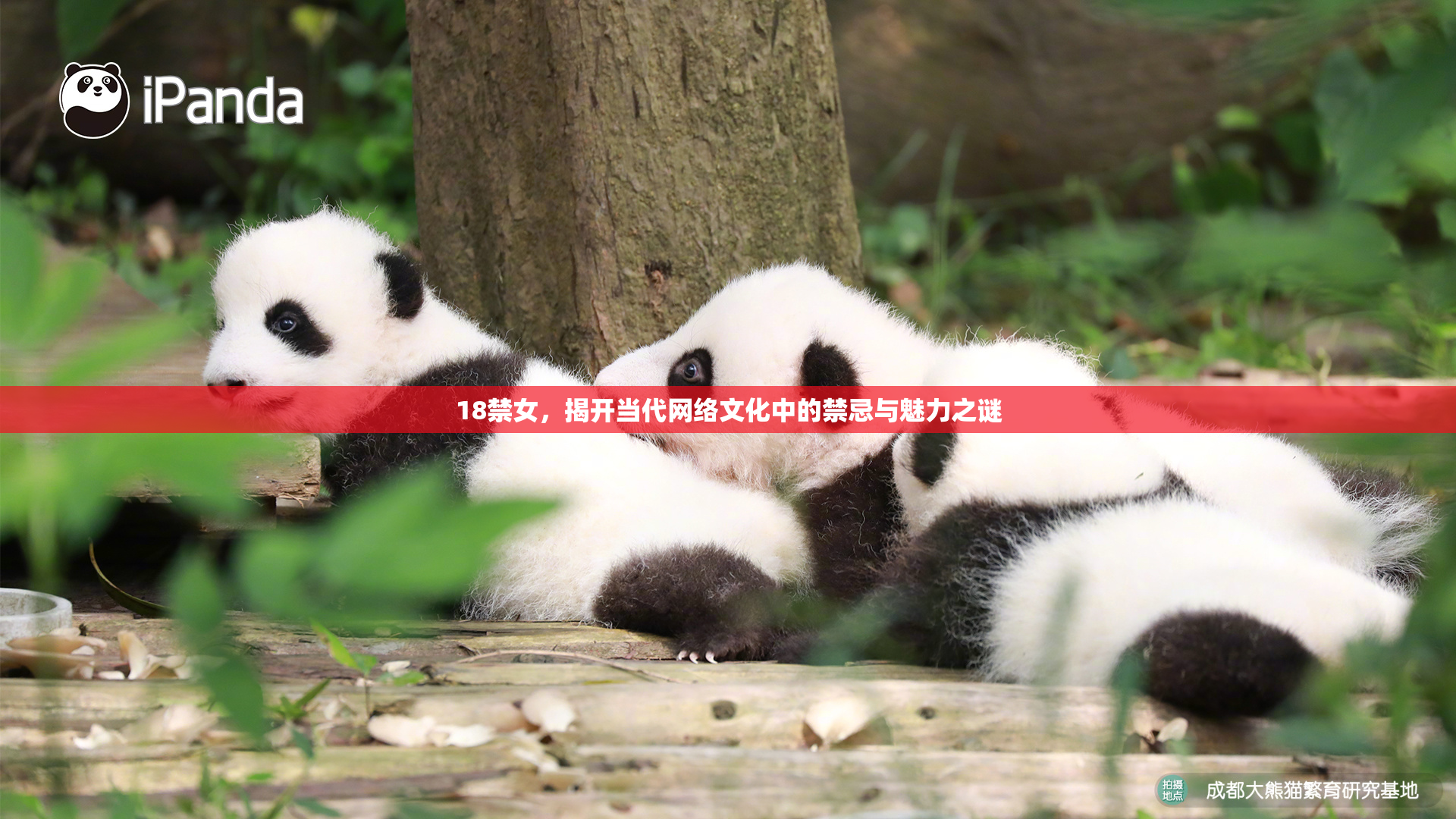 18禁女，揭开当代网络文化中的禁忌与魅力之谜