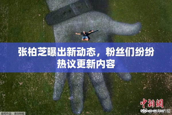 张柏芝曝出新动态，粉丝们纷纷热议更新内容
