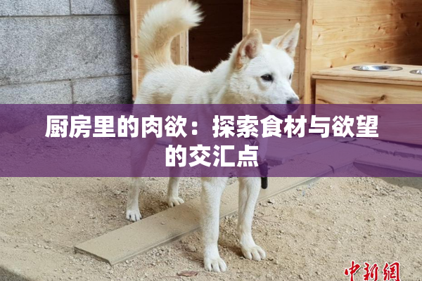 厨房里的肉欲：探索食材与欲望的交汇点