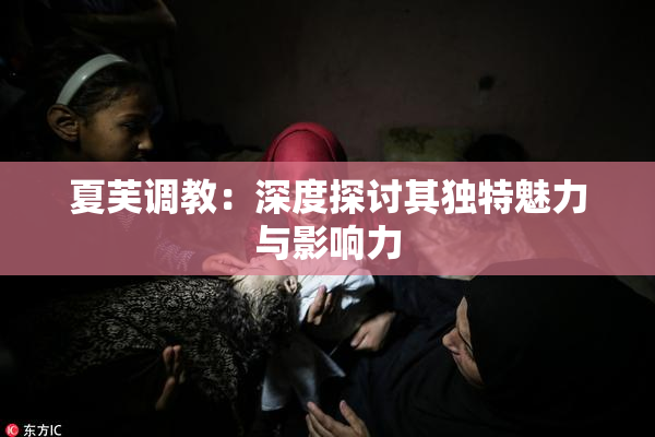 夏芙调教：深度探讨其独特魅力与影响力