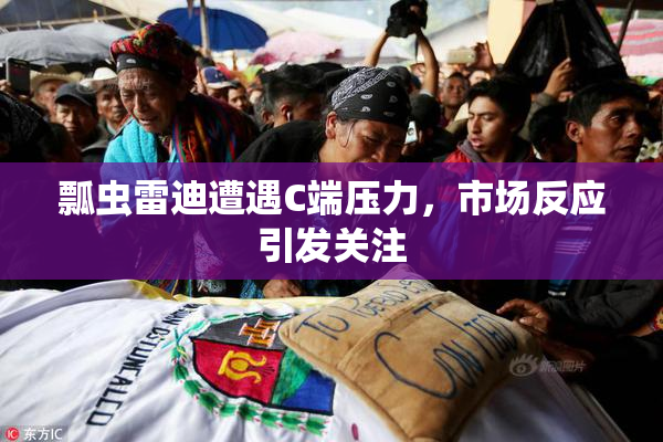 瓢虫雷迪遭遇C端压力，市场反应引发关注