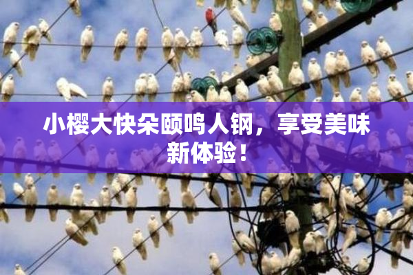 小樱大快朵颐鸣人钢，享受美味新体验！
