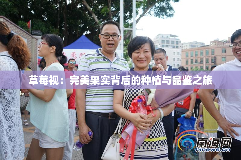 草莓视：完美果实背后的种植与品鉴之旅
