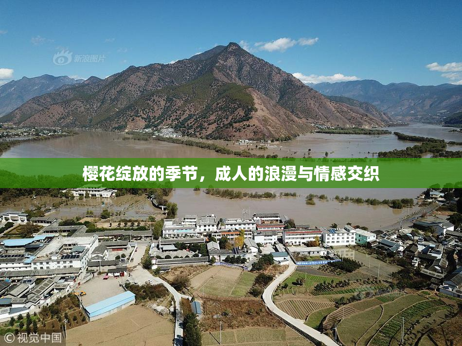 樱花绽放的季节，成人的浪漫与情感交织