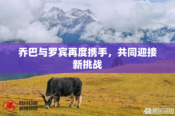 乔巴与罗宾再度携手，共同迎接新挑战