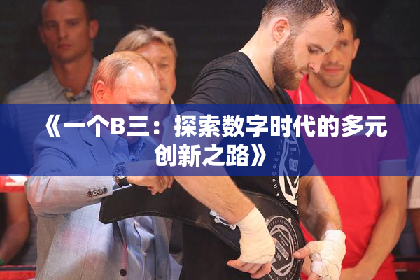《一个B三：探索数字时代的多元创新之路》