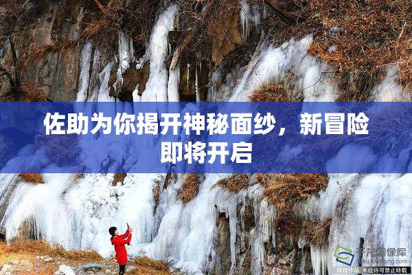 佐助为你揭开神秘面纱，新冒险即将开启