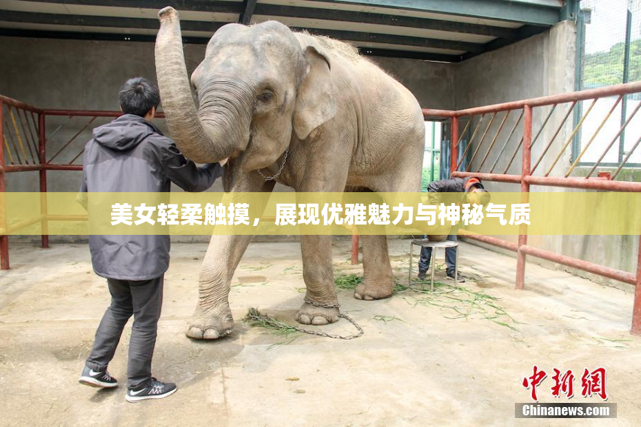 美女轻柔触摸，展现优雅魅力与神秘气质