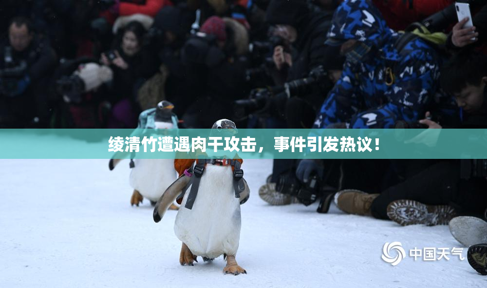 绫清竹遭遇肉干攻击，事件引发热议！