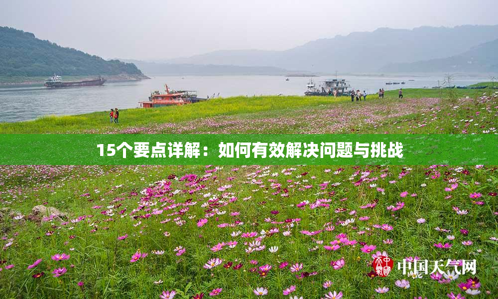 15个要点详解：如何有效解决问题与挑战