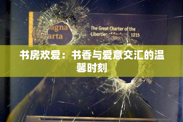 书房欢爱：书香与爱意交汇的温馨时刻