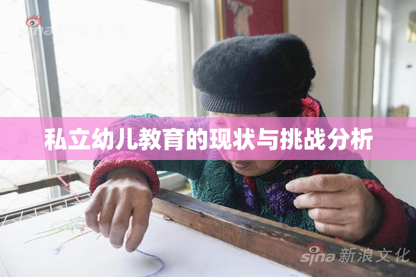 私立幼儿教育的现状与挑战分析
