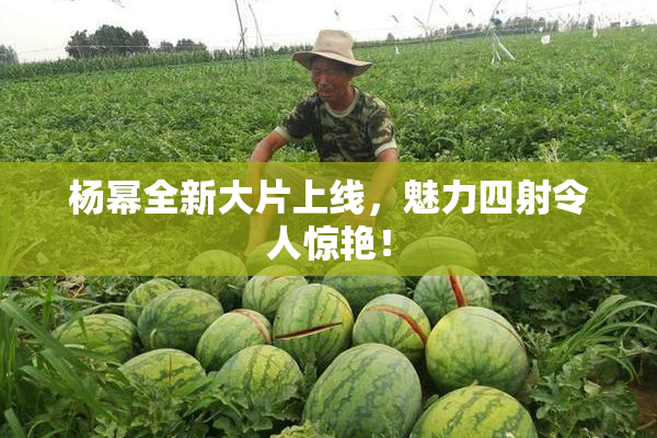 杨幂全新大片上线，魅力四射令人惊艳！