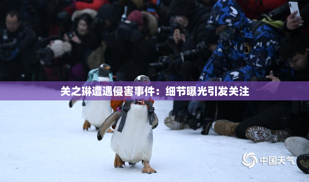 关之琳遭遇侵害事件：细节曝光引发关注