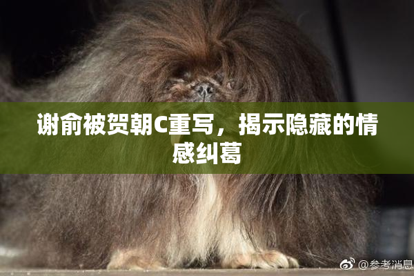 谢俞被贺朝C重写，揭示隐藏的情感纠葛