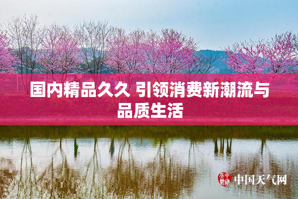 国内精品久久 引领消费新潮流与品质生活