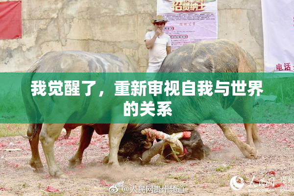 我觉醒了，重新审视自我与世界的关系
