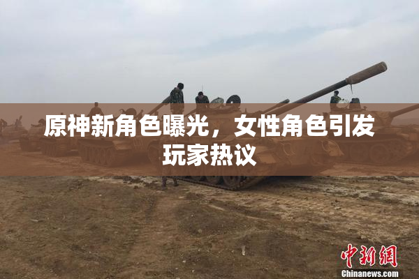 原神新角色曝光，女性角色引发玩家热议