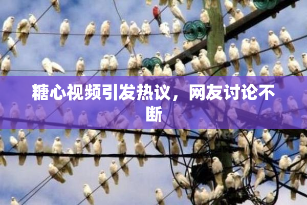 糖心视频引发热议，网友讨论不断