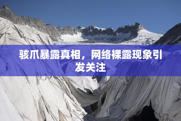 骇爪暴露真相，网络裸露现象引发关注