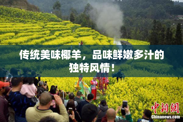 传统美味椰羊，品味鲜嫩多汁的独特风情！