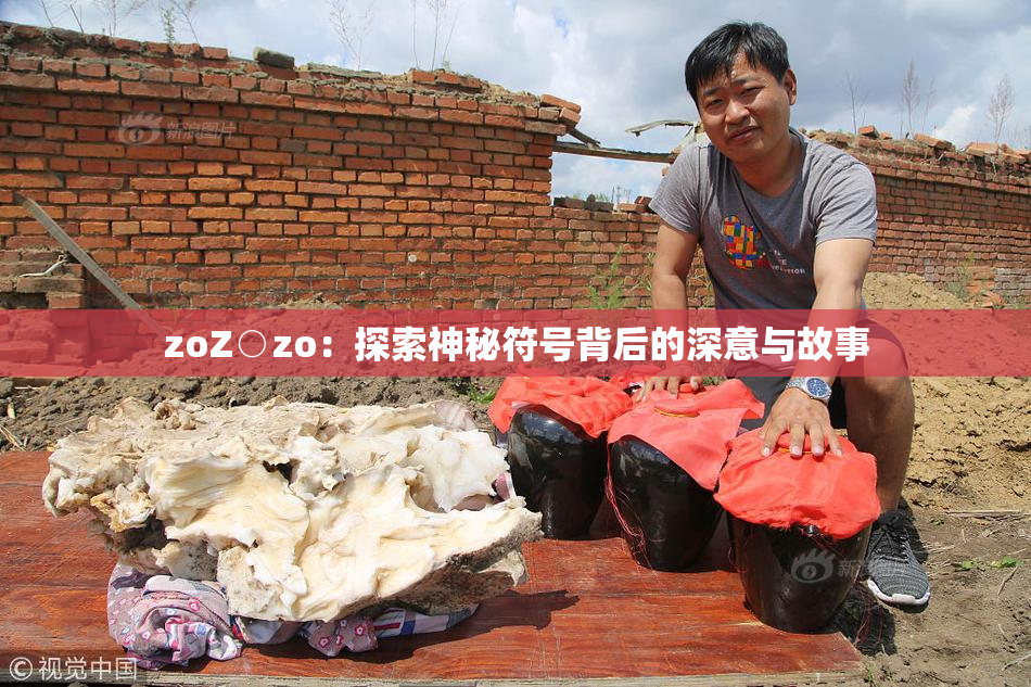 zoZ○zo：探索神秘符号背后的深意与故事