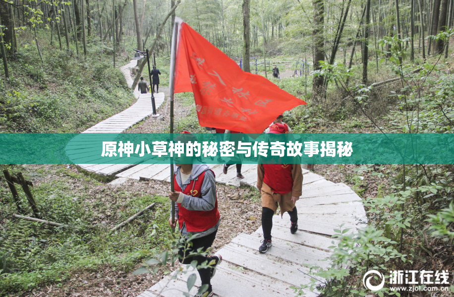 原神小草神的秘密与传奇故事揭秘