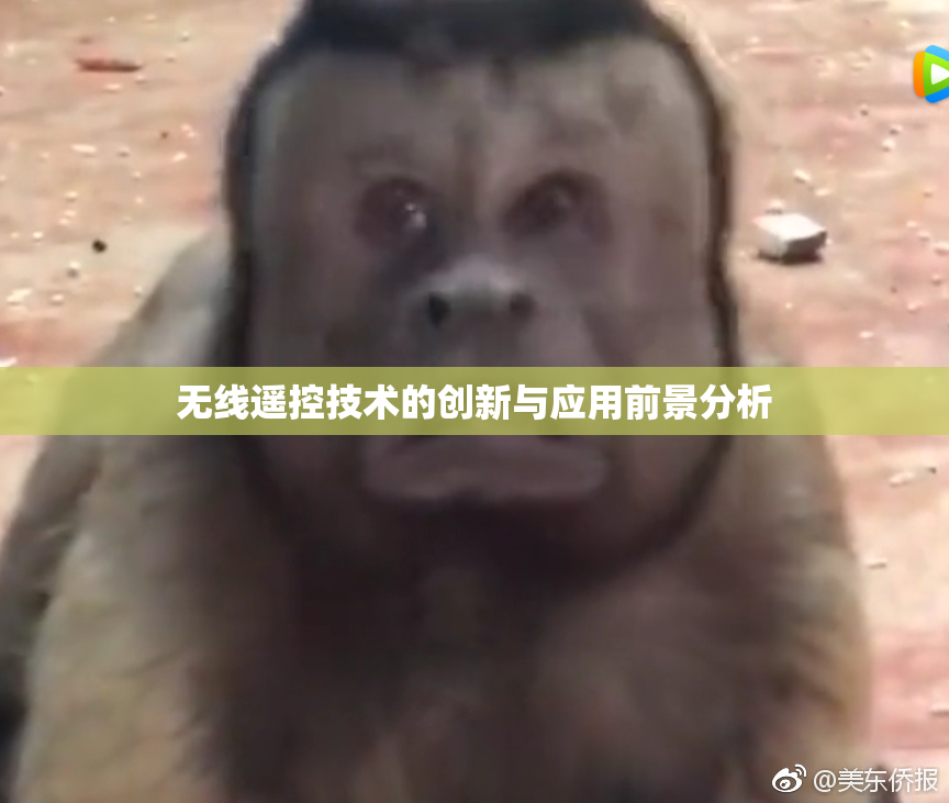 无线遥控技术的创新与应用前景分析