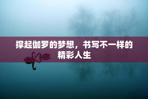 撑起伽罗的梦想，书写不一样的精彩人生